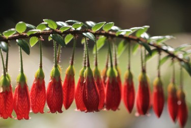 佛山三水区7私人快速借钱网，轻松解决资金难题