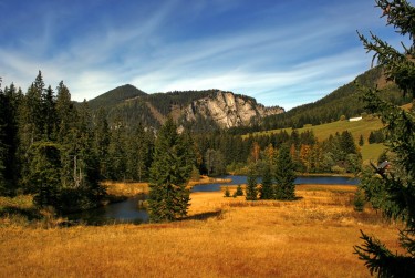 佛山三水区7民间私贷攻略：揭秘低成本借贷的秘密