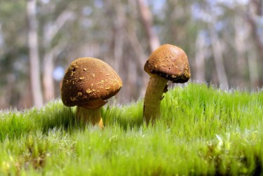 佛山三水区7私人老板放款：轻松融资的秘密通道